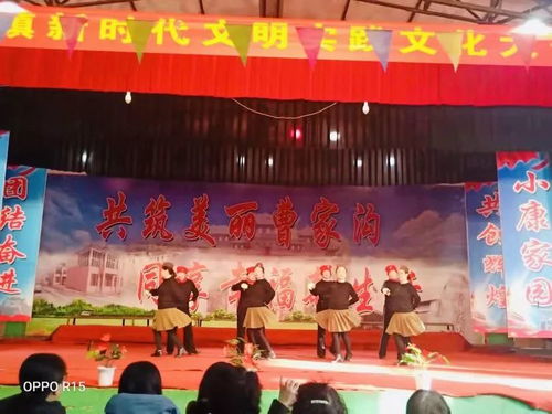 店上鎮(zhèn)新時代文明實踐 文化大舞臺文藝匯演譜寫文明交流新篇章