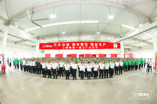 凝心聚力共筑文化生產(chǎn)力 | 三棵樹第一屆工廠文化節(jié)啟動儀式圓滿舉行
